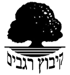 Logo 4